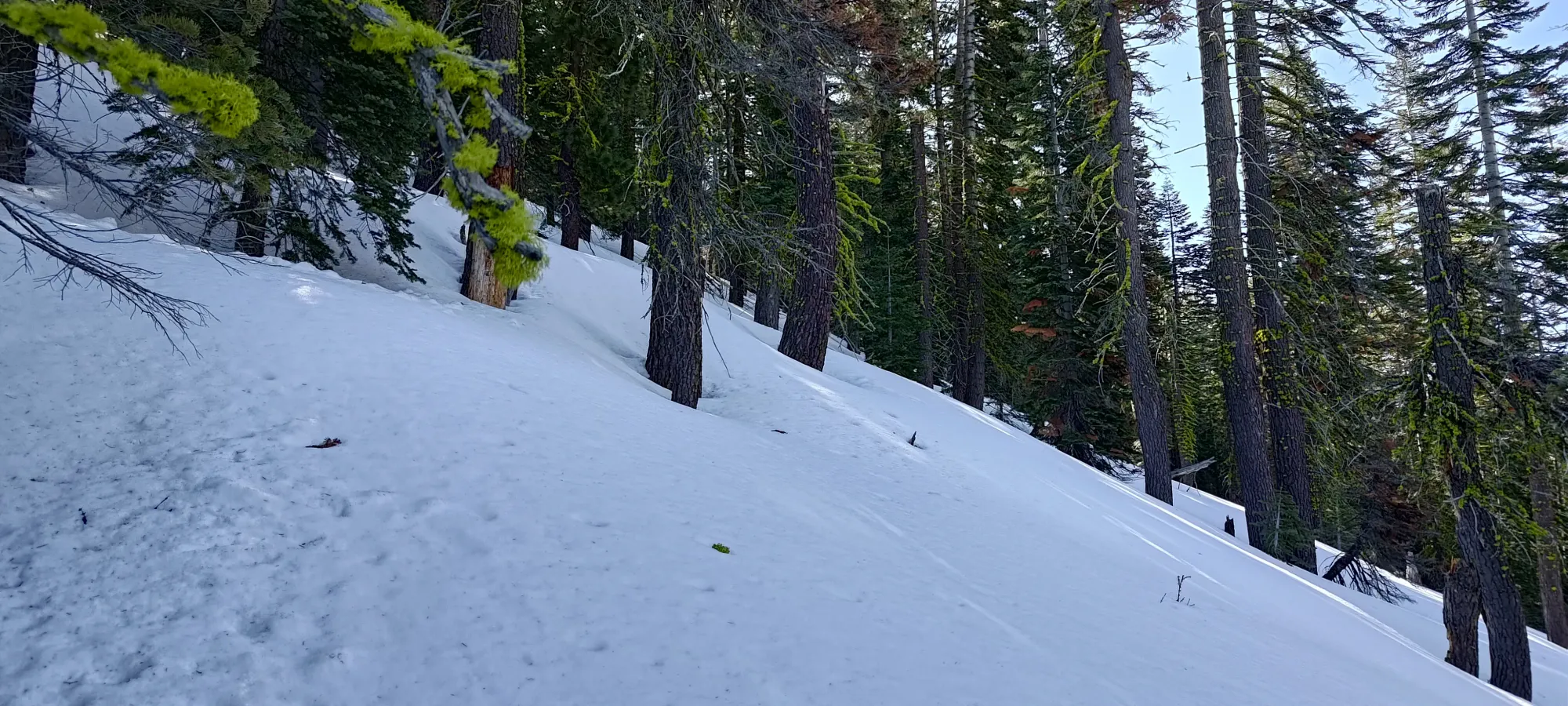 Lassen Peak - April 9 2025