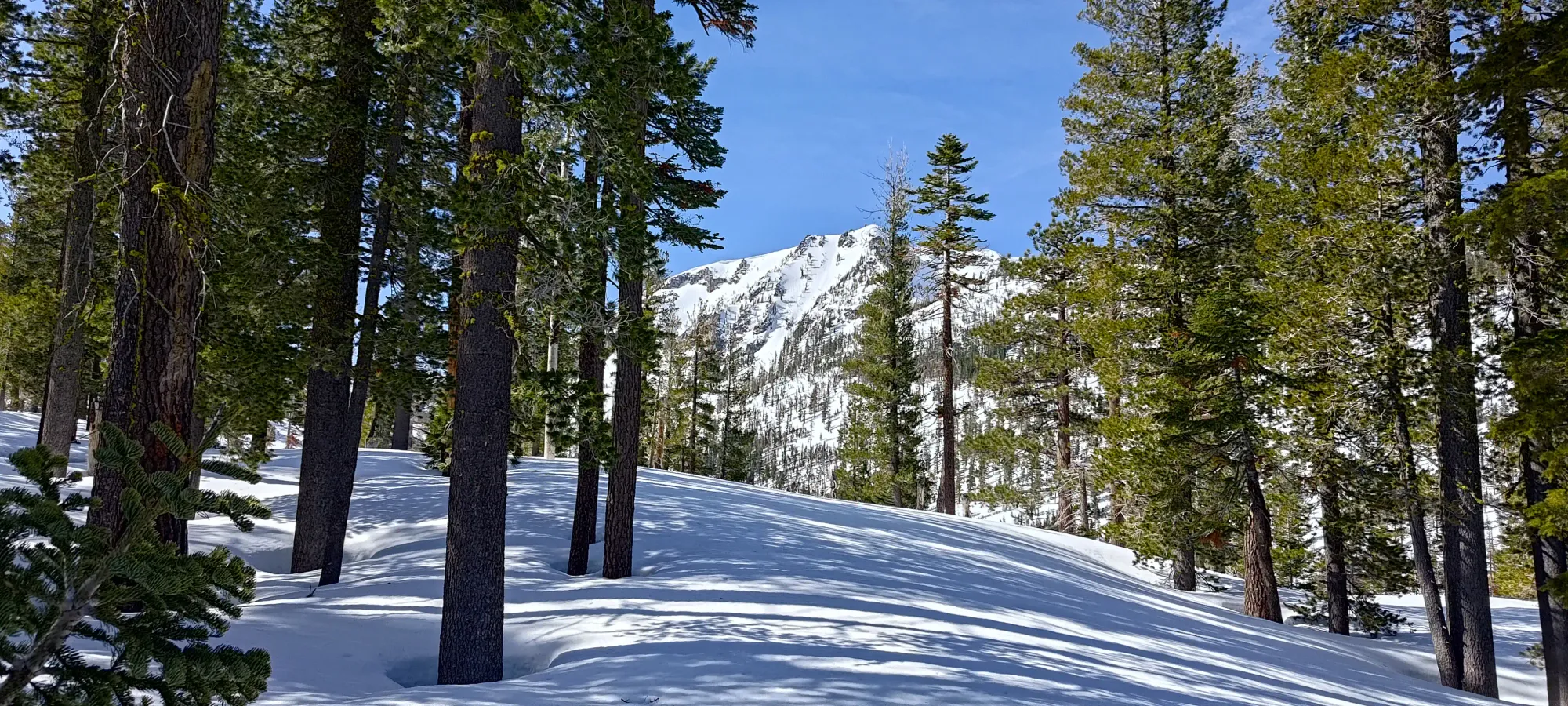 Lassen Peak - April 9 2025