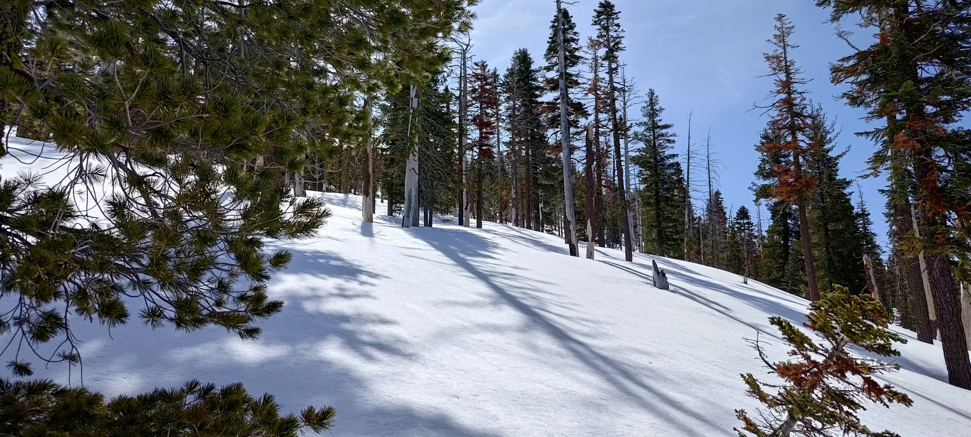 Lassen Peak - April 9 2025