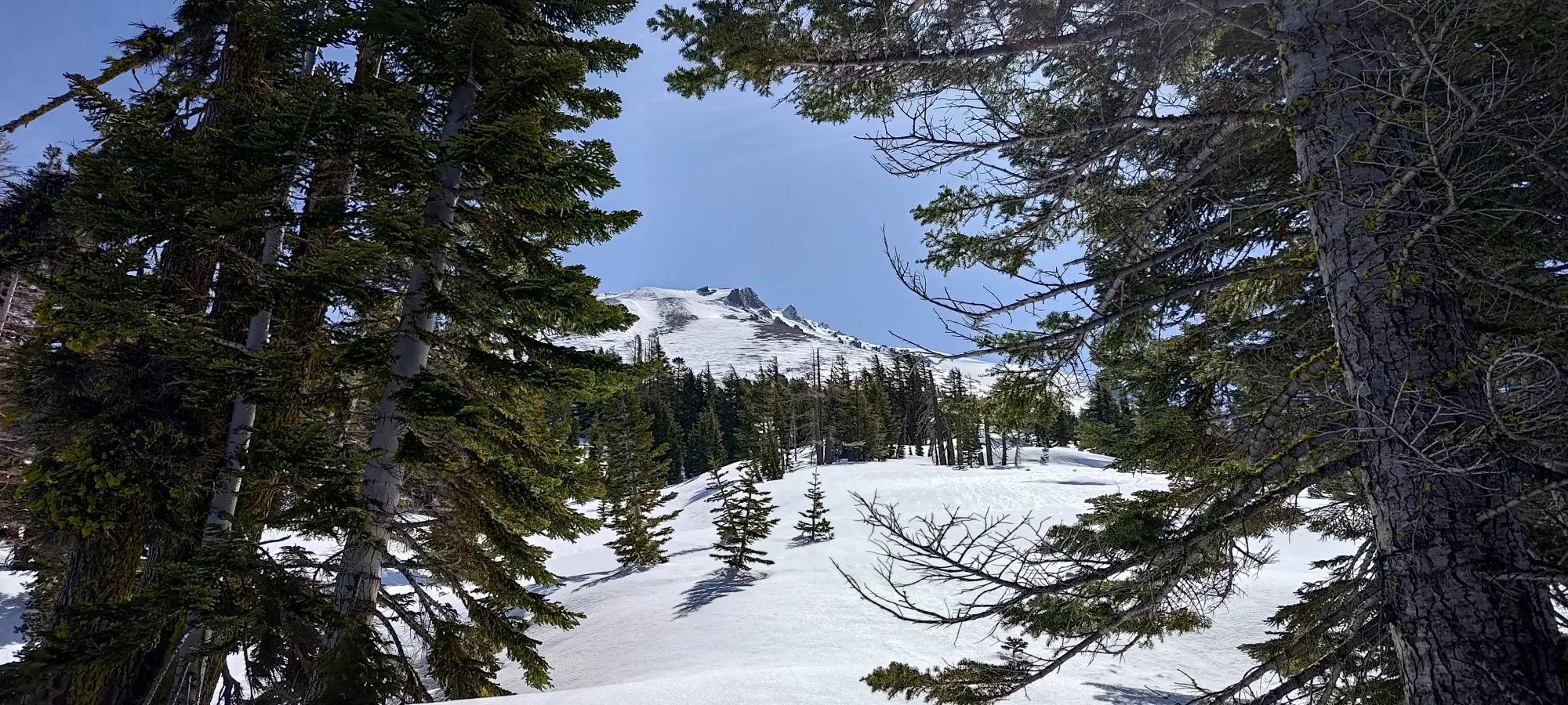 Lassen Peak - April 9 2025