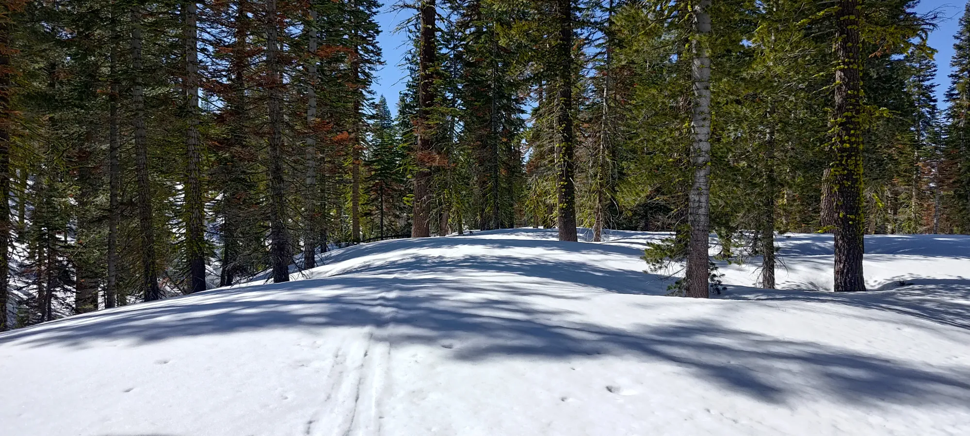 Lassen Peak - April 9 2025
