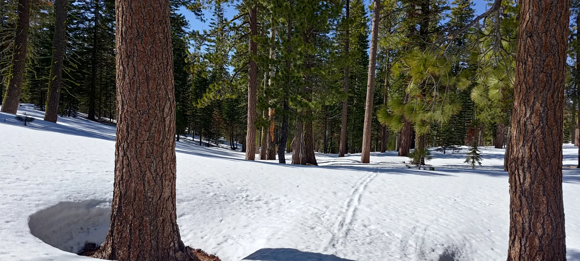 Lassen Peak - April 9 2025