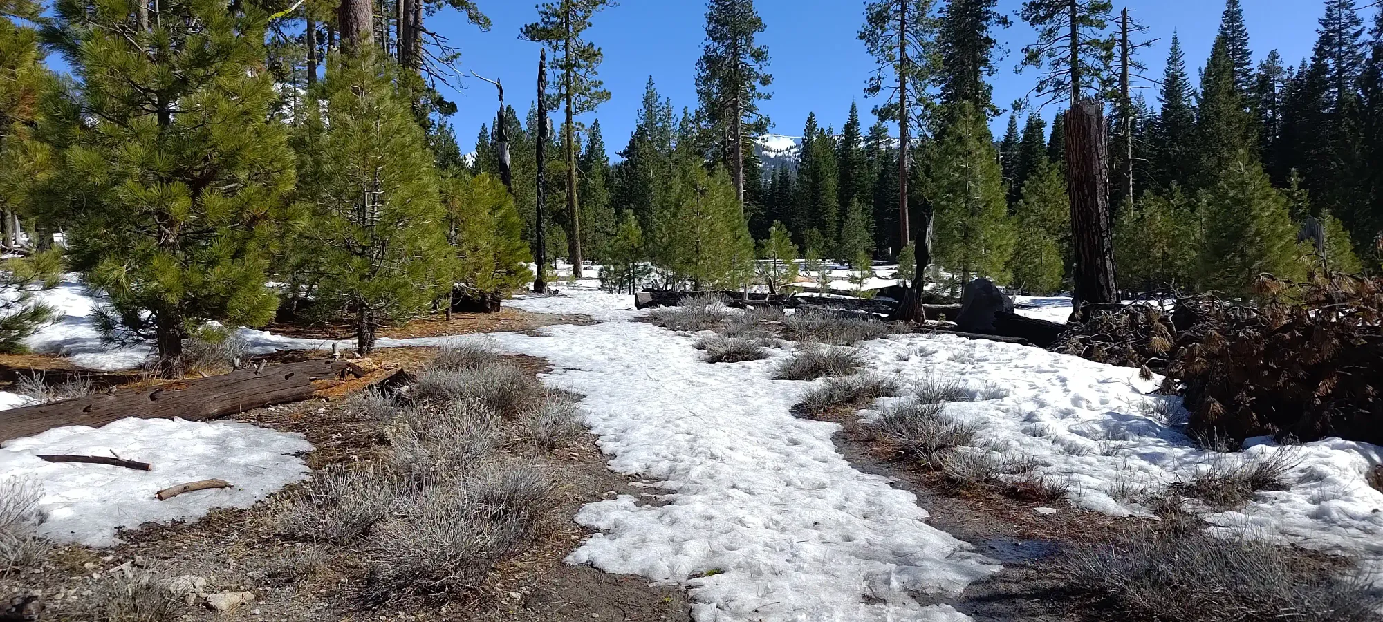 Lassen Peak - April 9 2025