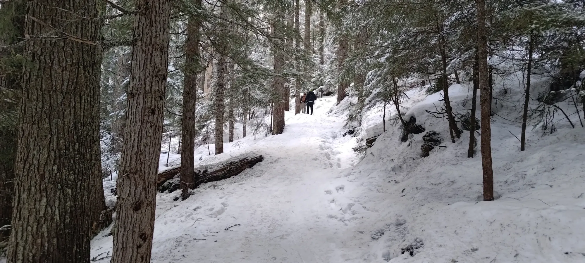 Mount Taylor (Duffey Lake) - April 12 2025