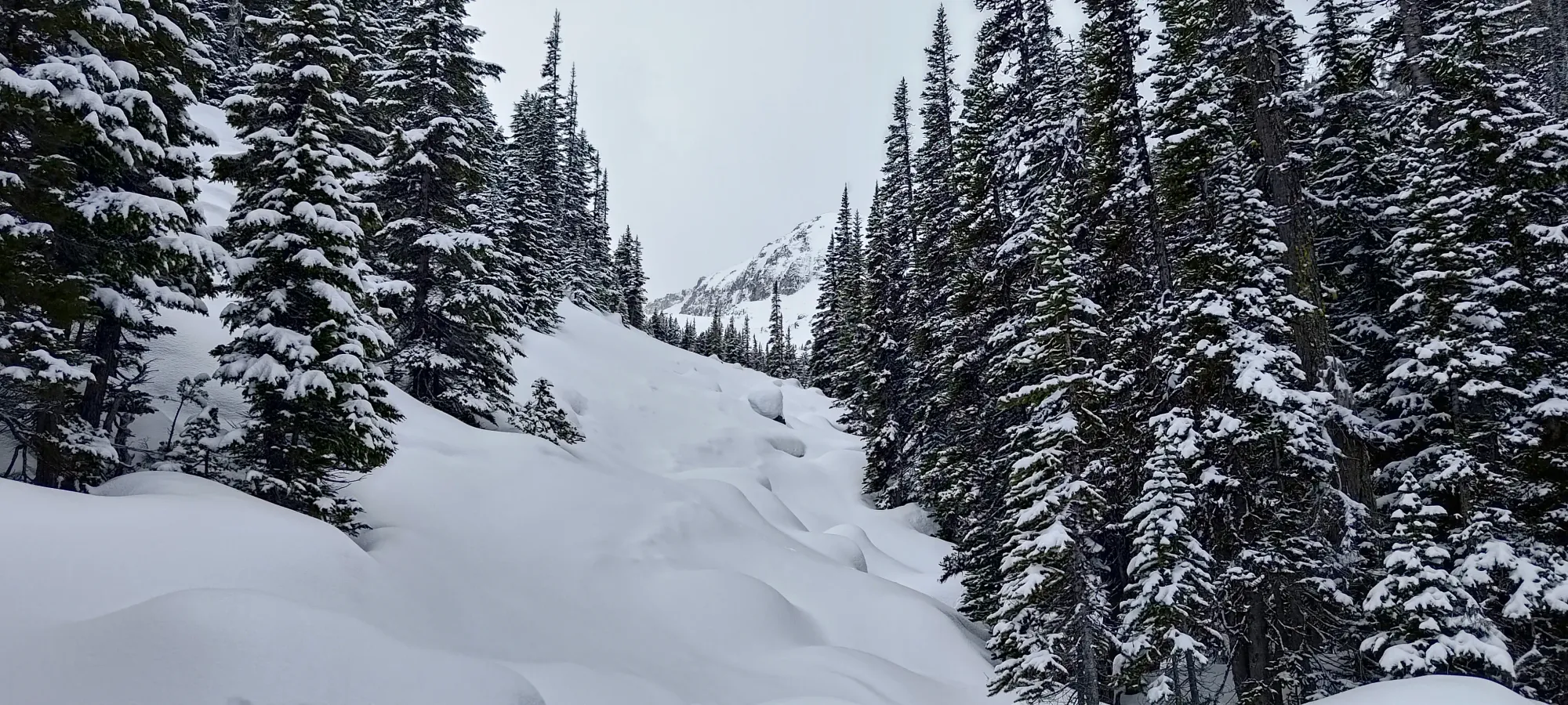 Mount Taylor (Duffey Lake) - April 12 2025