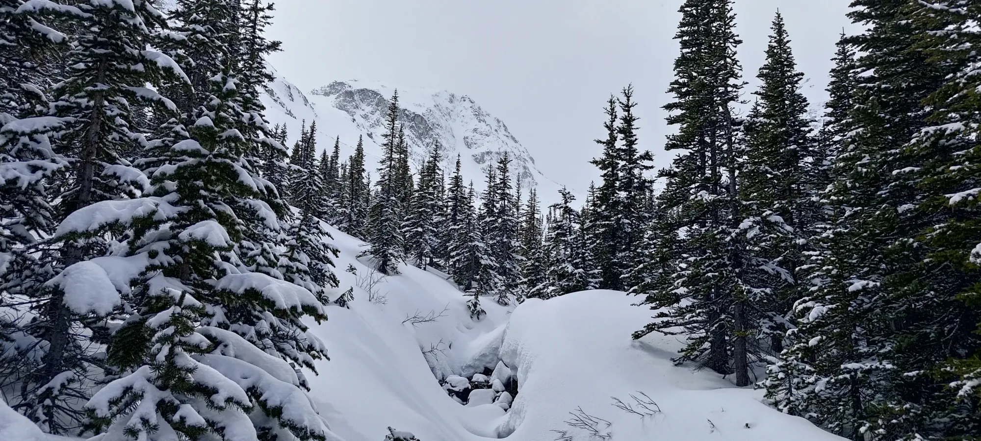 Mount Taylor (Duffey Lake) - April 12 2025