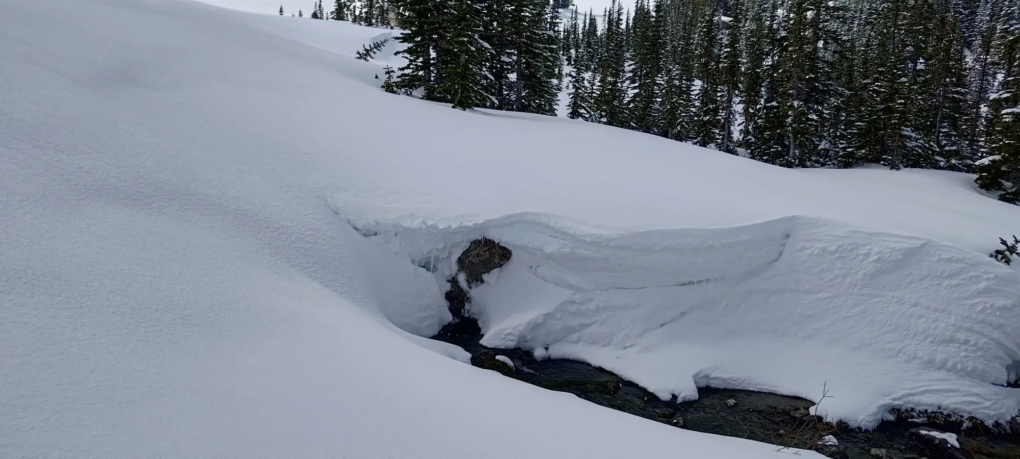Mount Taylor (Duffey Lake) - April 12 2025