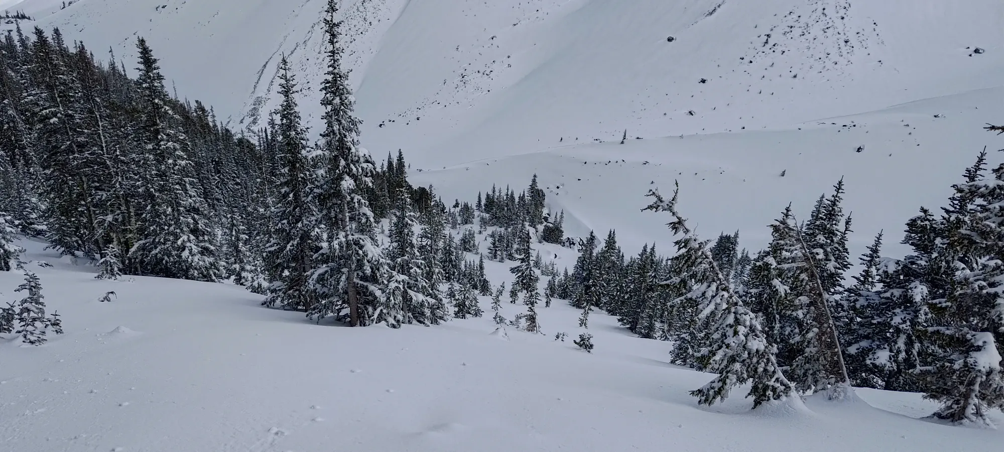 Mount Taylor (Duffey Lake) - April 12 2025