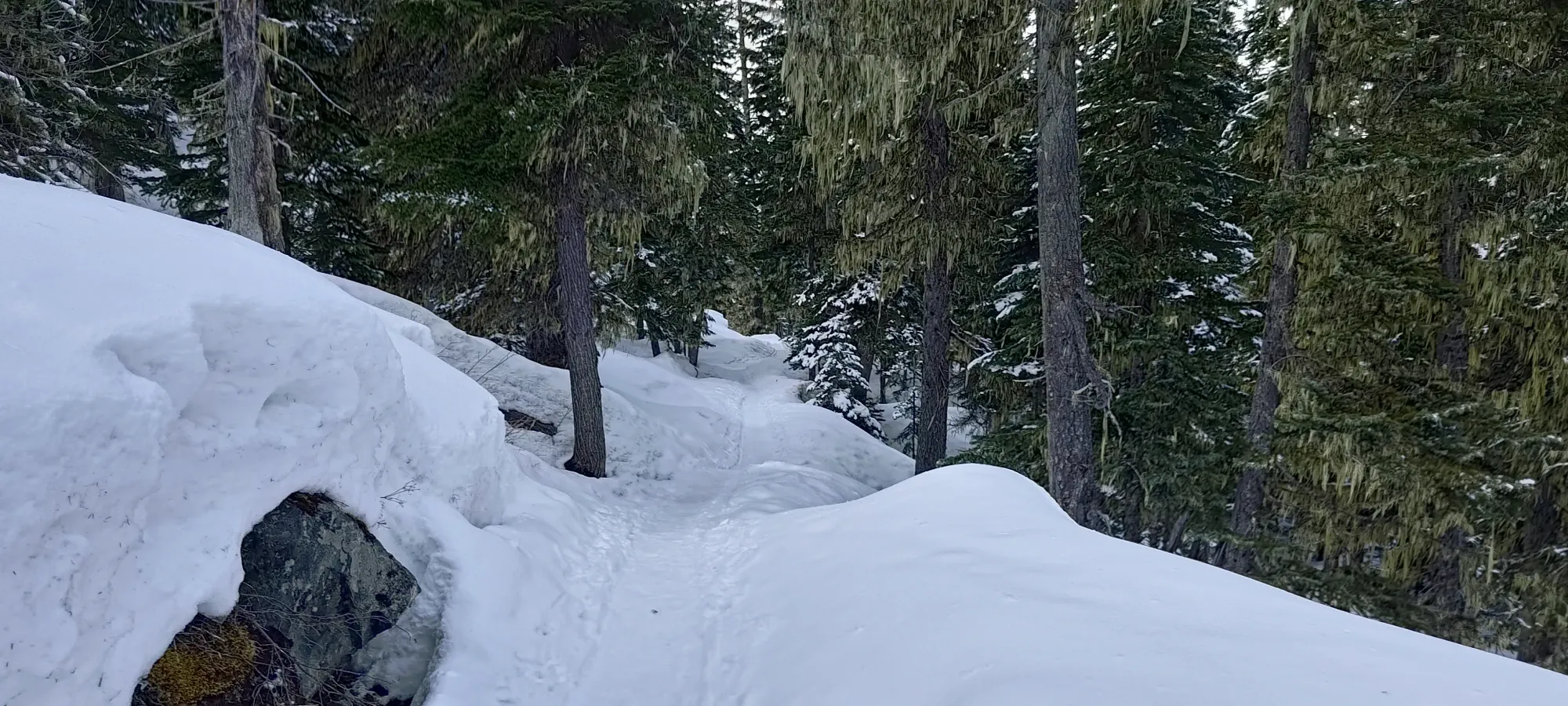 Mount Taylor (Duffey Lake) - April 12 2025