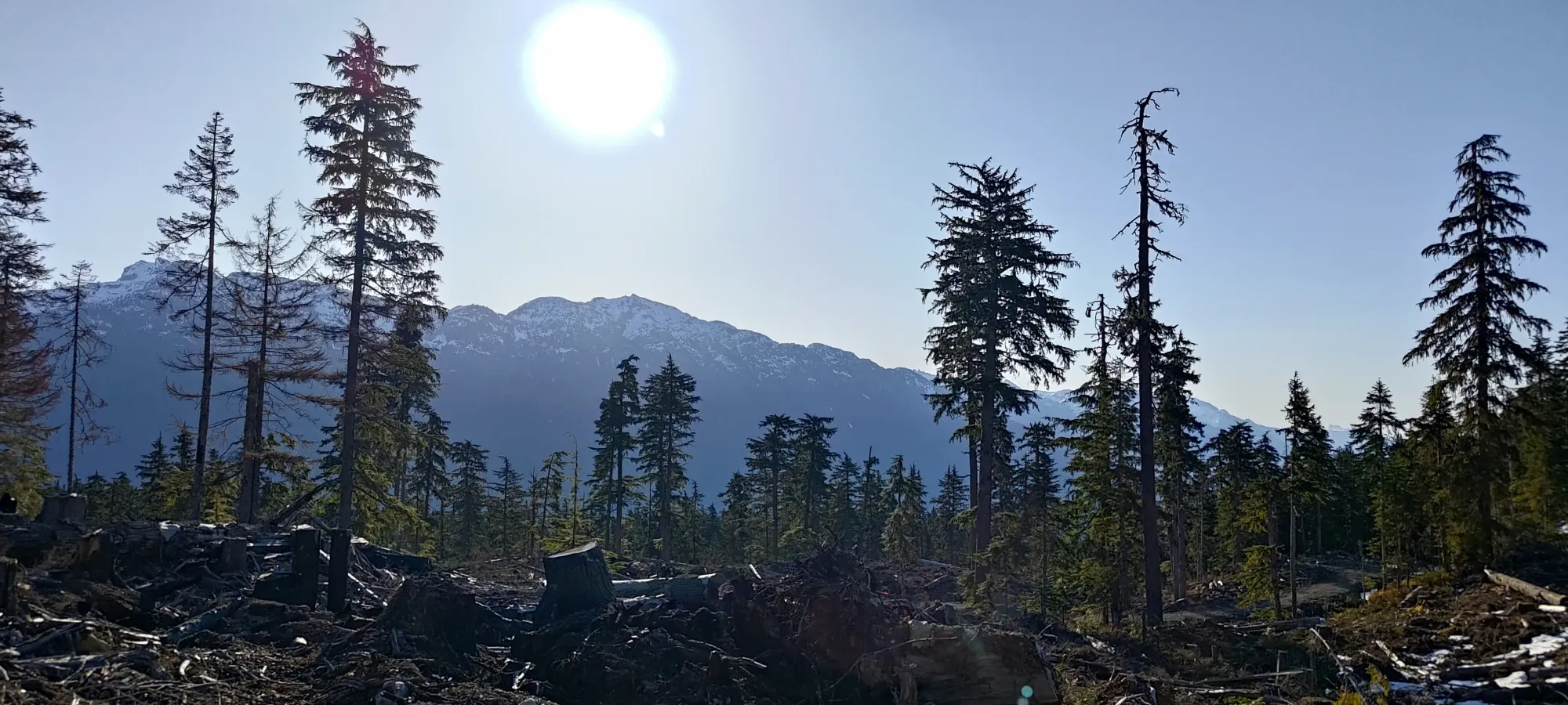 Fire Mountain - May 2 2025