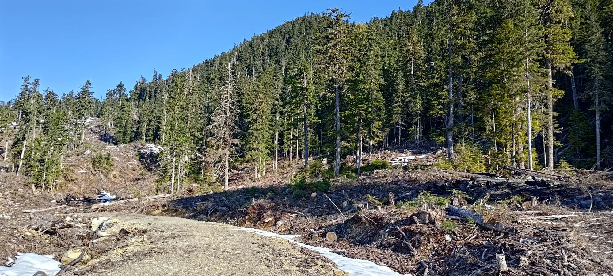 Fire Mountain - May 2 2025