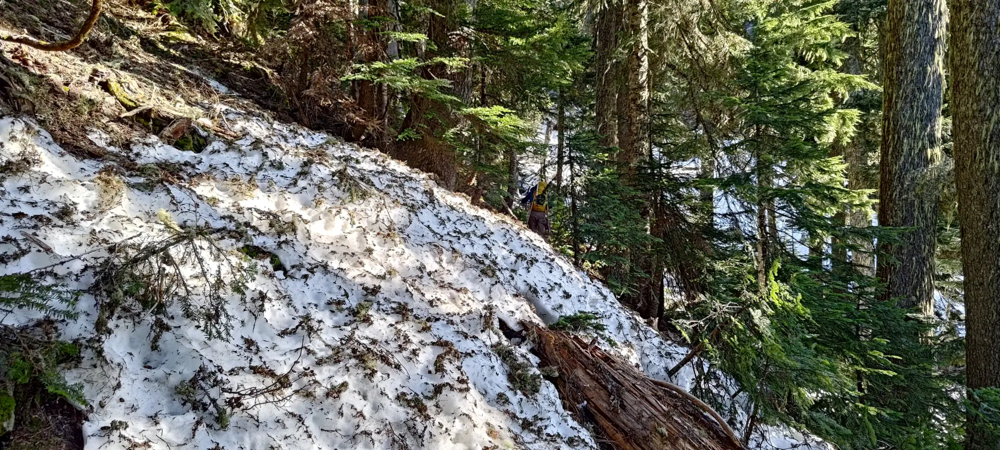 Fire Mountain - May 2 2025