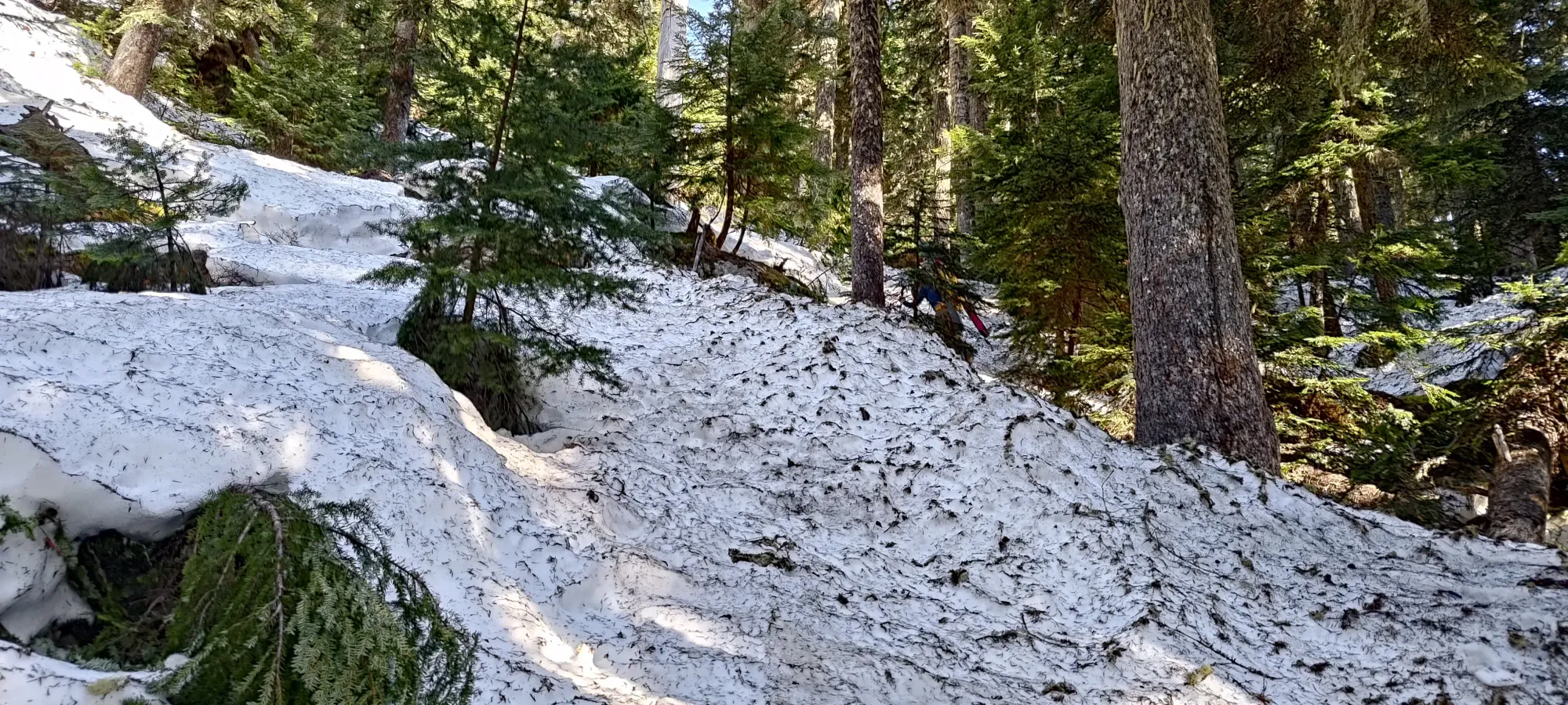 Fire Mountain - May 2 2025