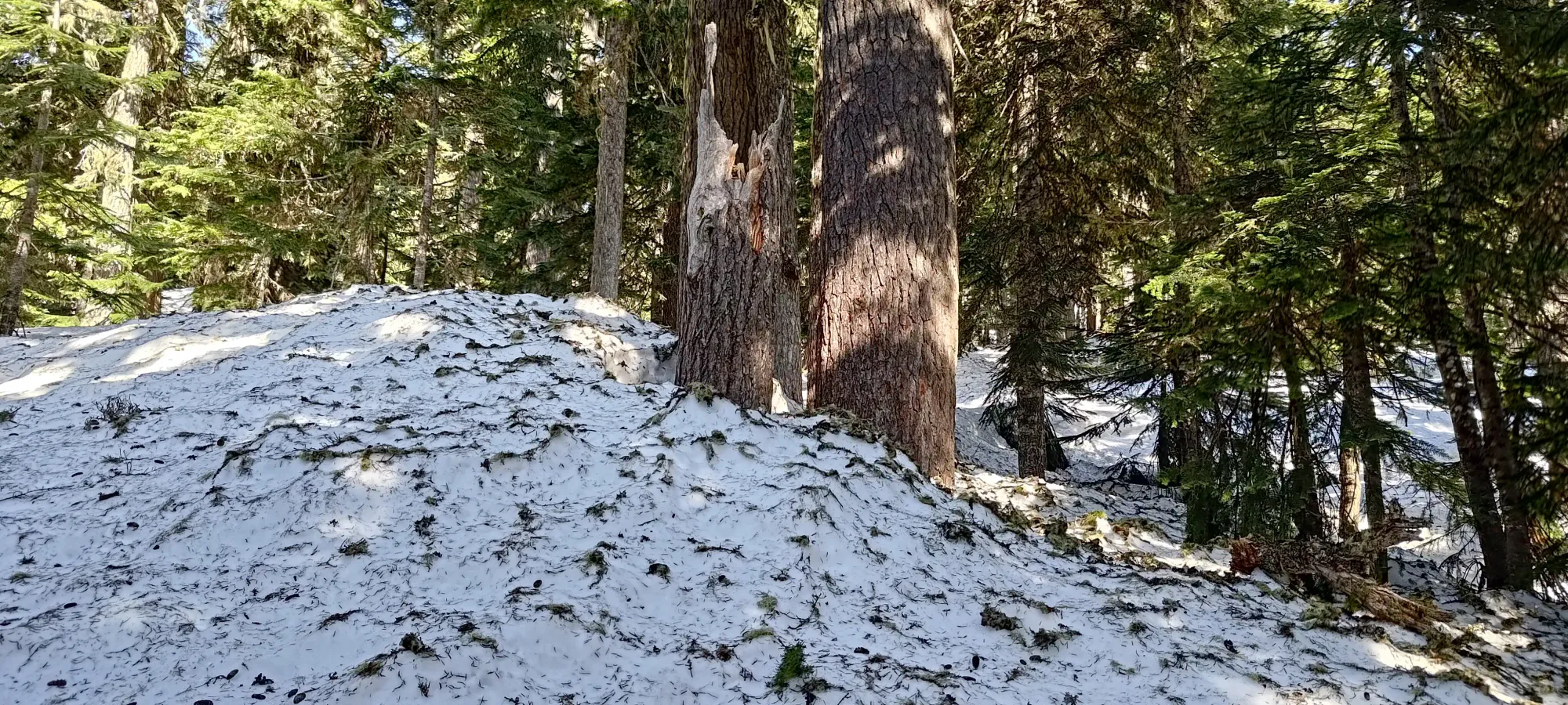 Fire Mountain - May 2 2025
