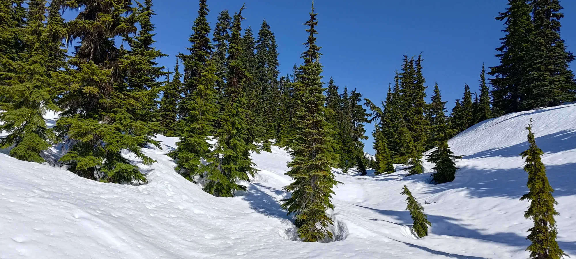 Fire Mountain - May 2 2025