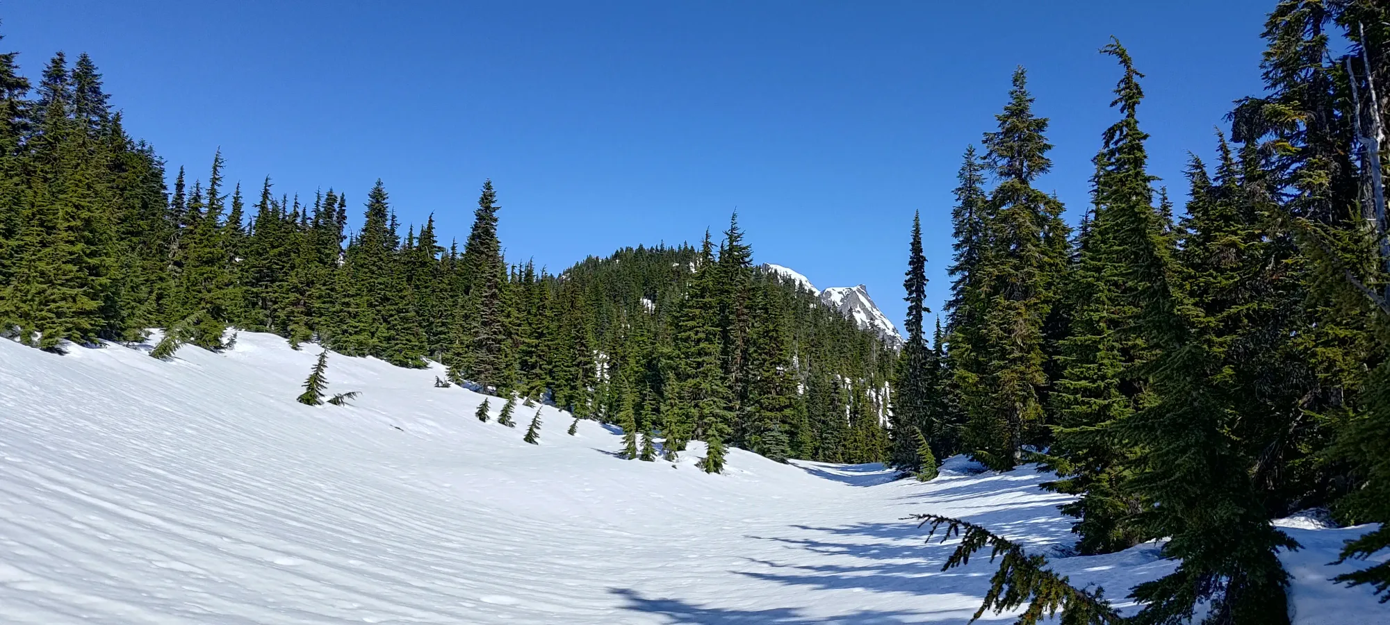 Fire Mountain - May 2 2025