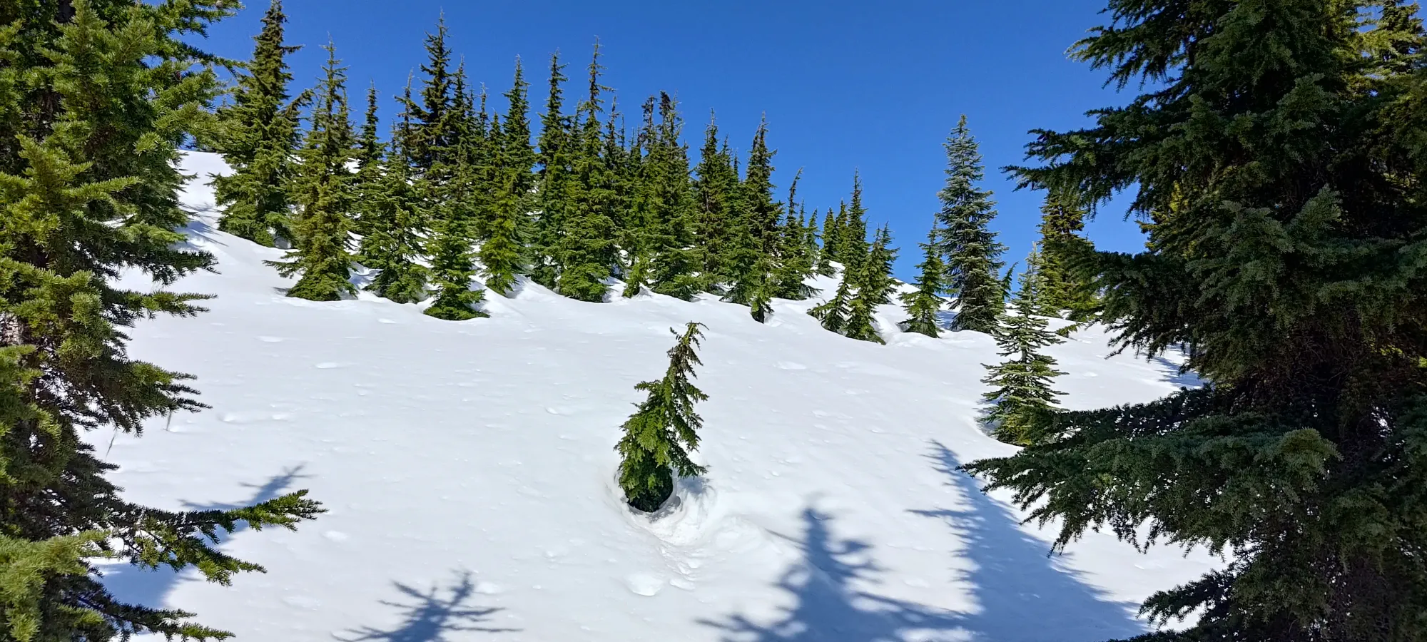 Fire Mountain - May 2 2025