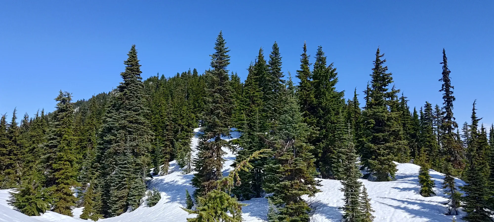 Fire Mountain - May 2 2025