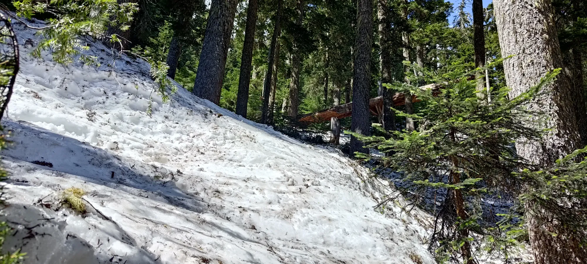 Fire Mountain - May 2 2025