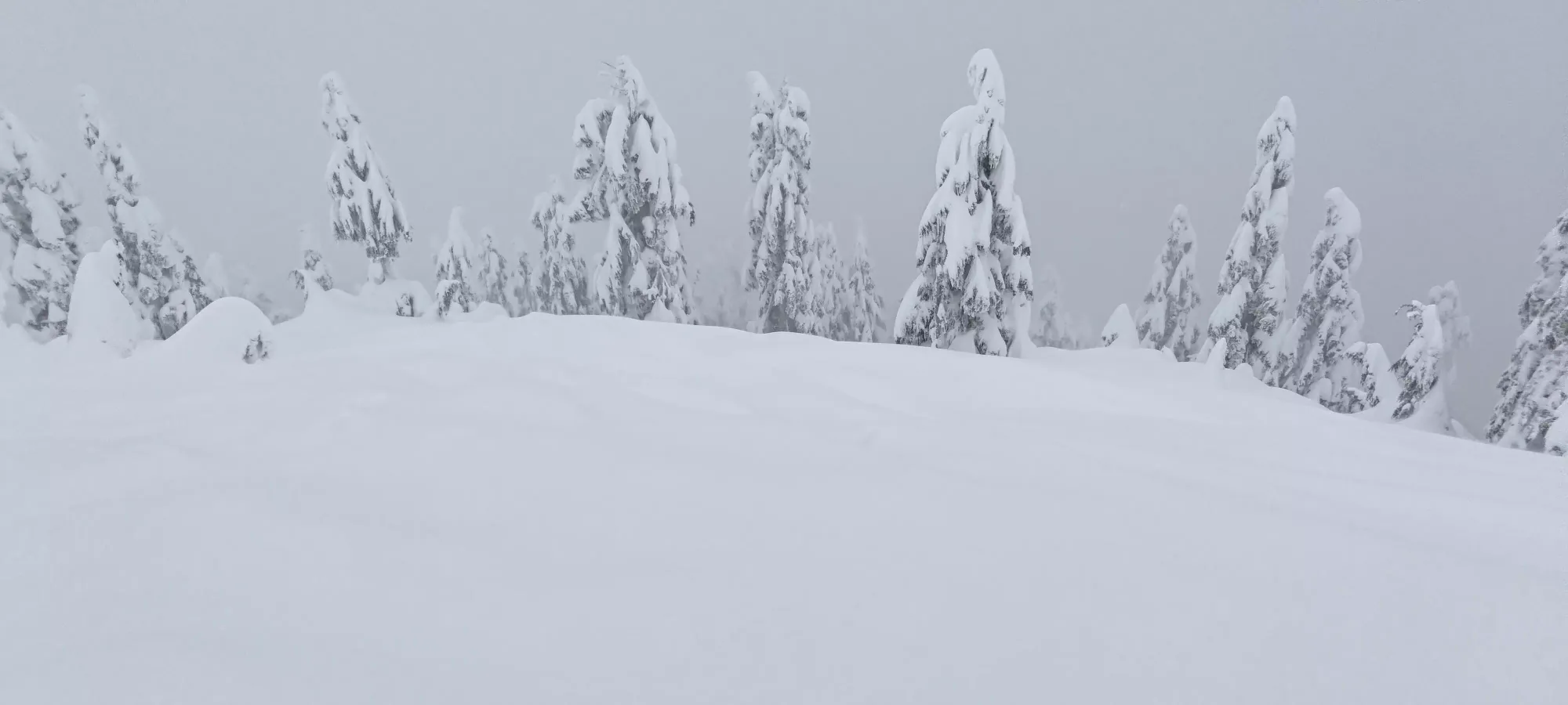 Hollyburn Mountain - March 2 2023