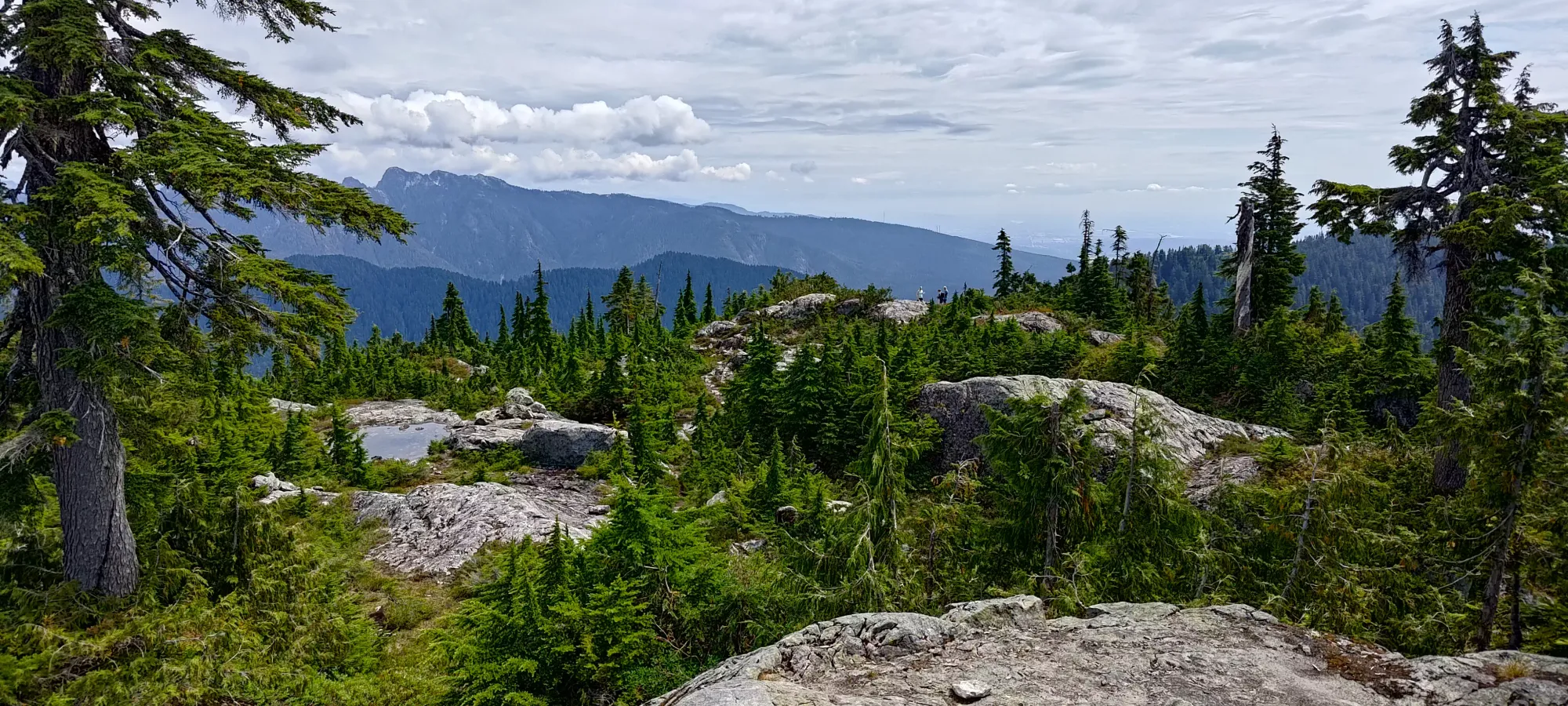 Thunderbird Ridge - July 29 2023