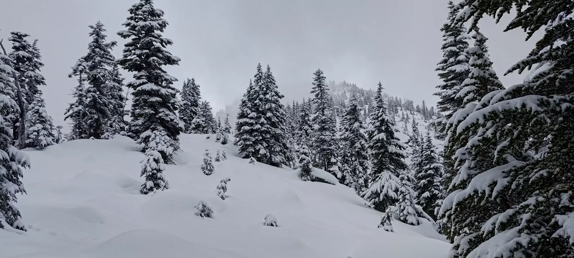 Iago Peak - December 8 2023