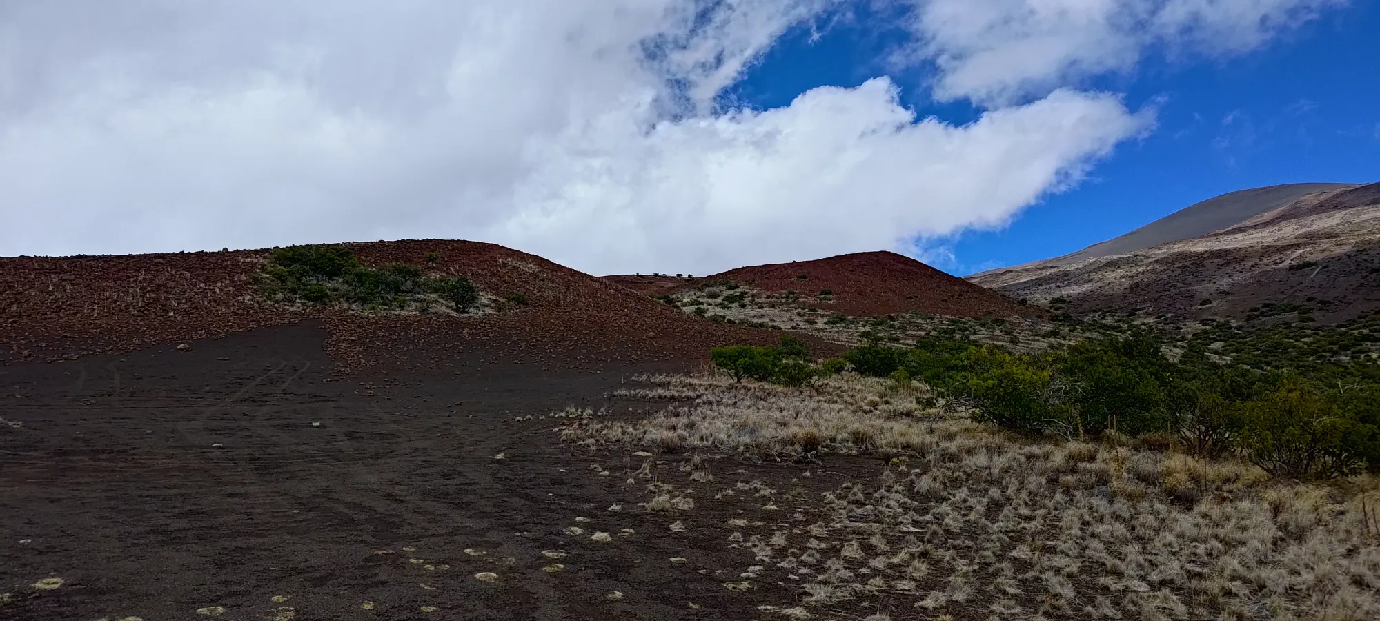 Kilohana (Mauna Kea area) - January 11 2024