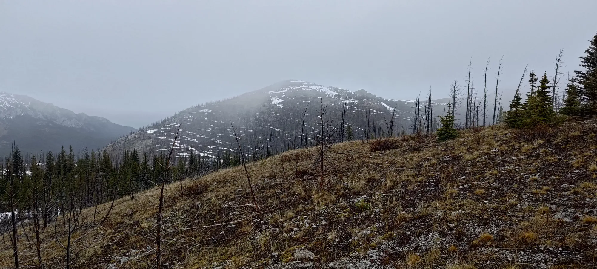 Wild Horse Peak - June 2 2024