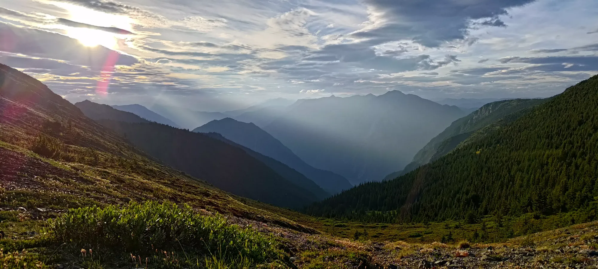 Mount Brew - July 28 2024