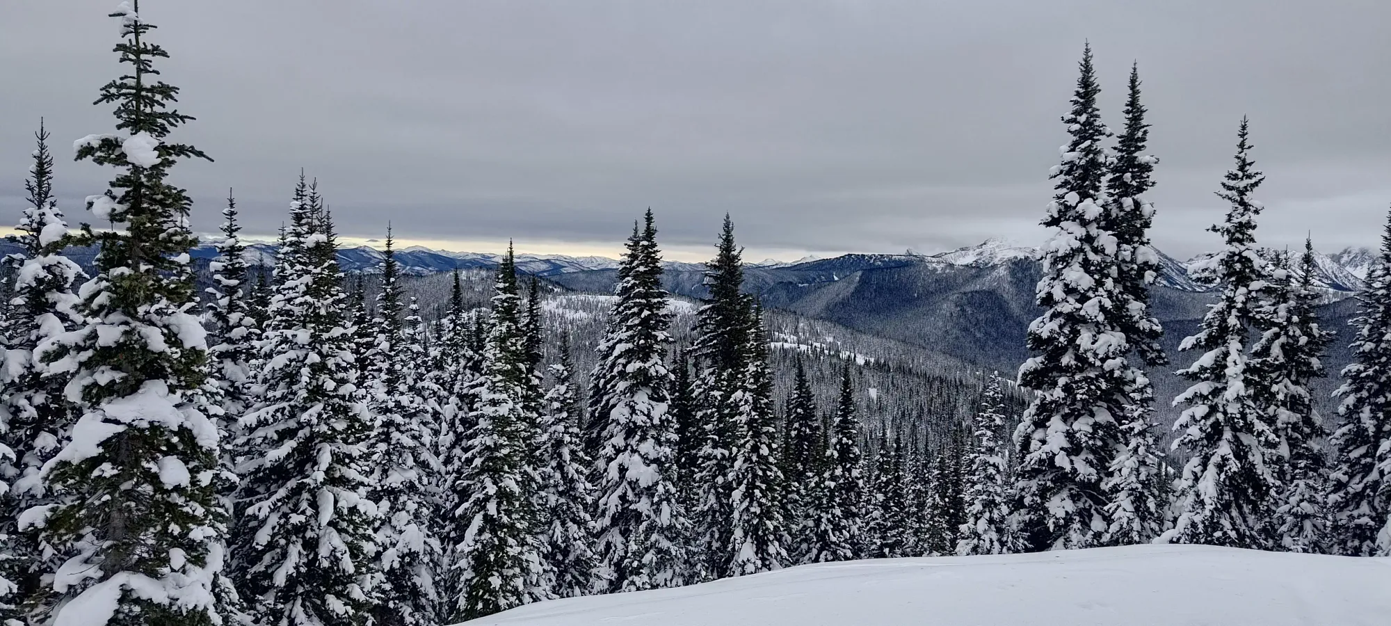 Grassy Mountain (Manning Park) - November 30 2024