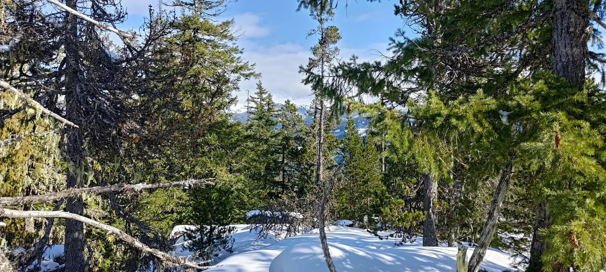 Pillchuck Peak - February 17 2025