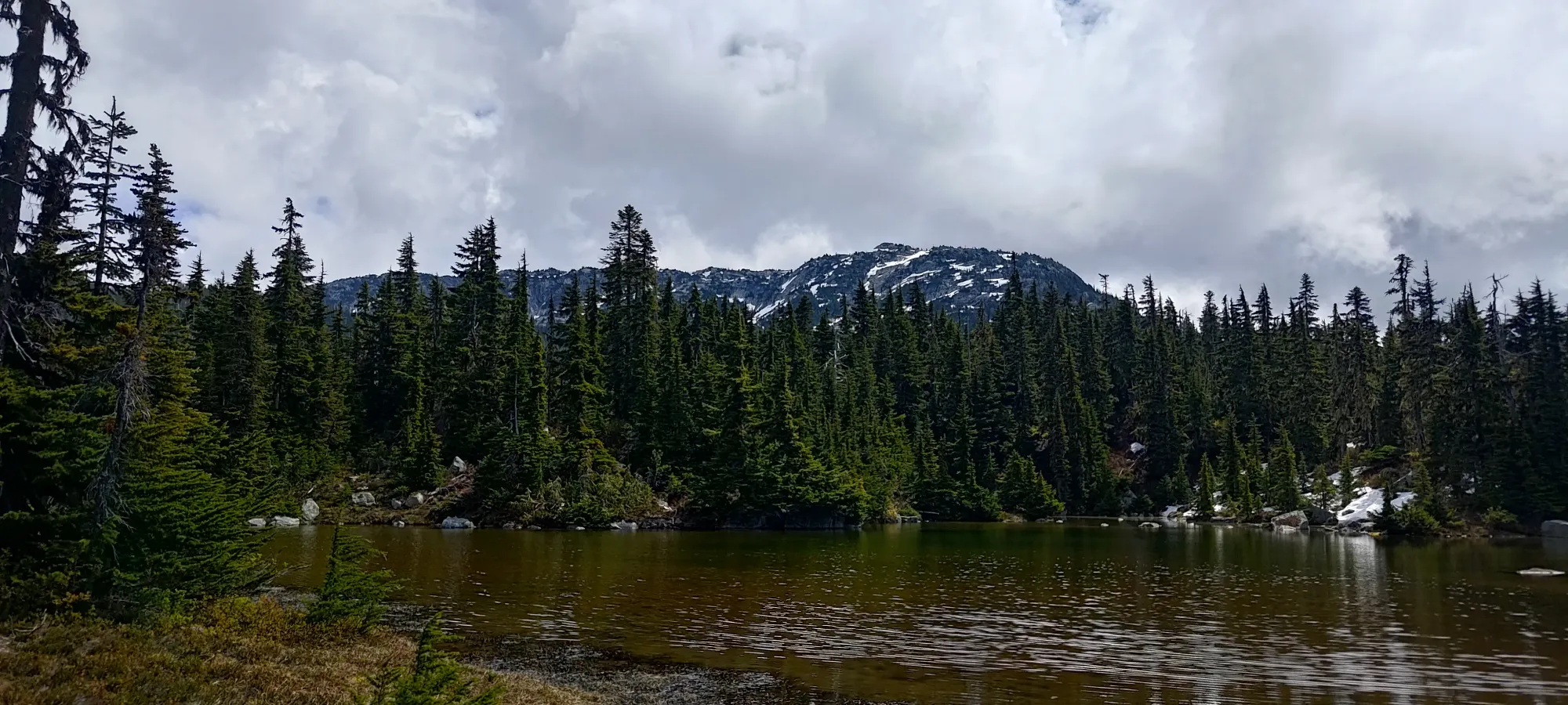 Vogel Peak - June 14 2025