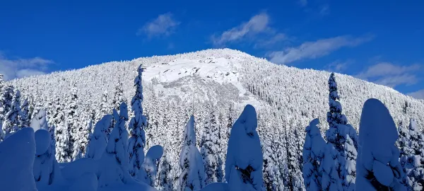Zupjok Peak (Zupjok ⇾ Alpaca Traverse) - January 7 2024