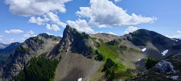 Yellow Aster Butte - August 5 2024