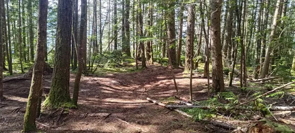 Peak 412 (Squamish) - April 30 2025