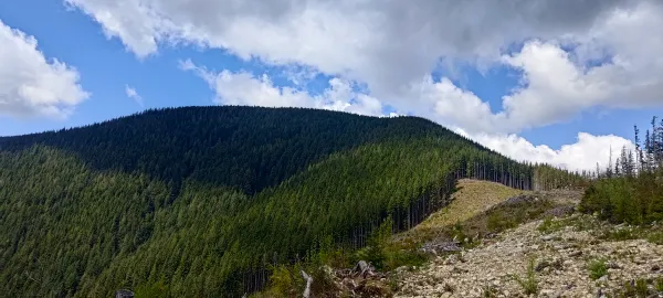 Dewdney Peak - May 4 2025